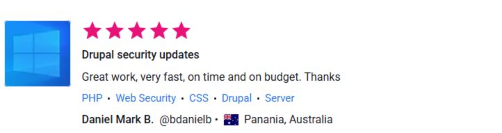 Client review for Drupal security updates by Pentest Testing Corp