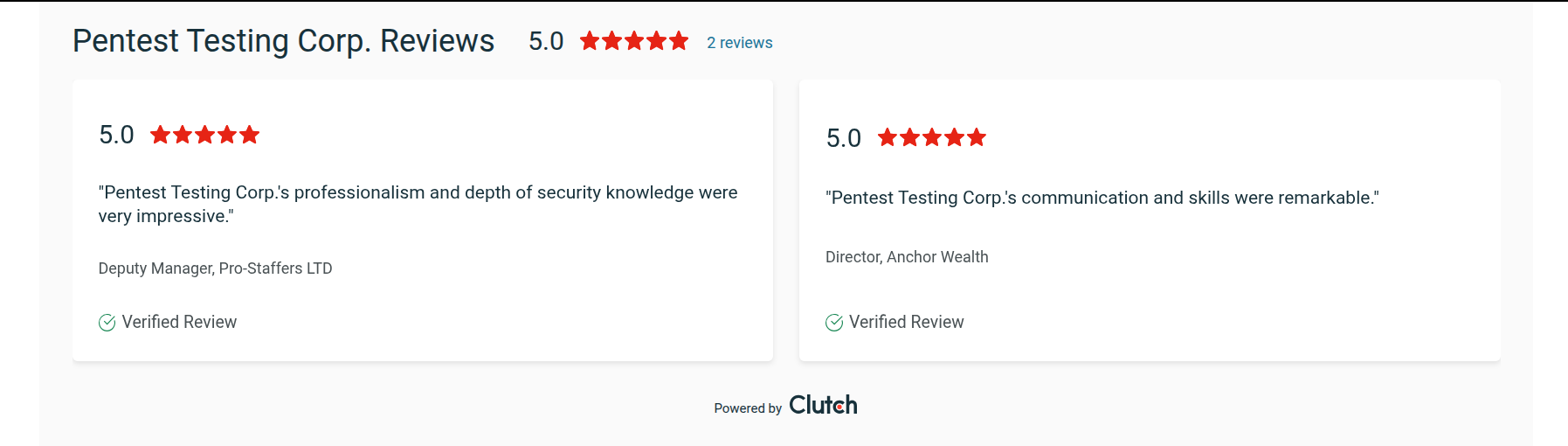 Pentest-Testing-Corp_Clutch-Review-Testimonial-2